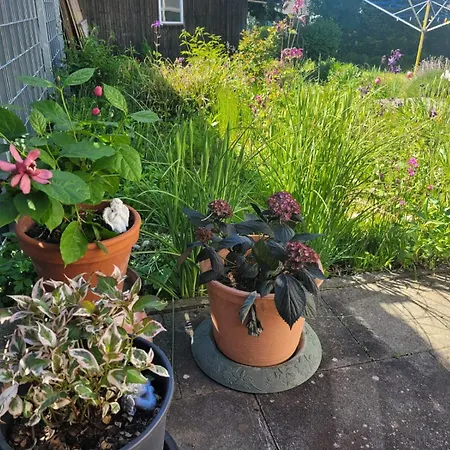 Gemuetliche 4-zimmer Mit Garten Apfingen