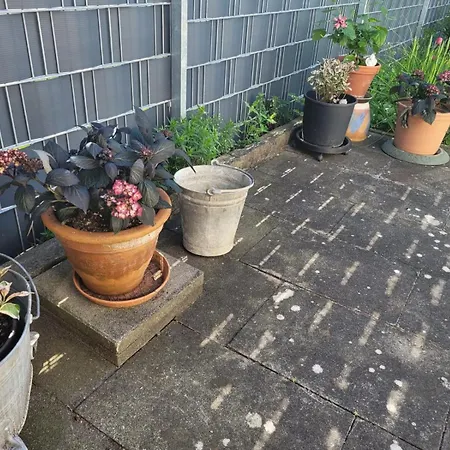Dom wakacyjny Gemuetliche 4-zimmer Mit Garten Apfingen
